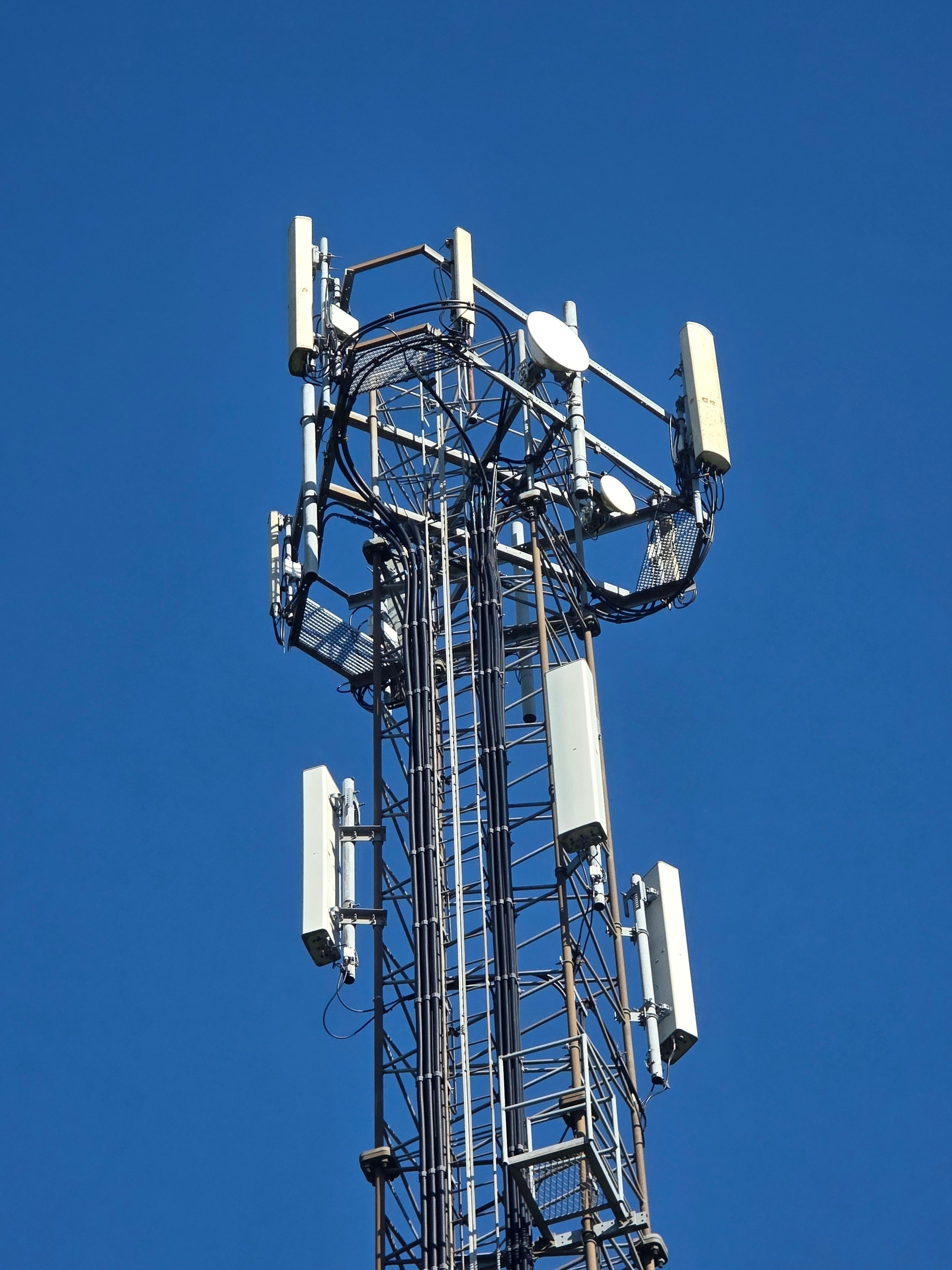 Mobile phone mast in a wooded landscape